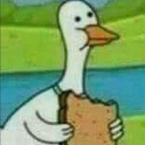 Meet your Posher, David-allen